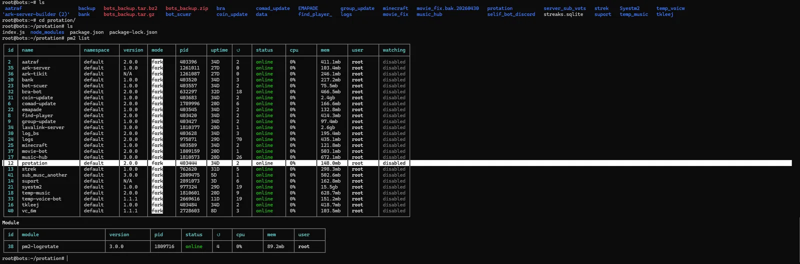 Discord security bot, live terminal & audit log